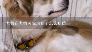 宠物在宠物医院治死了怎么赔偿