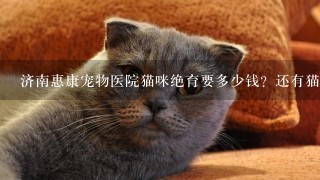 济南惠康宠物医院猫咪绝育要多少钱？还有猫咪绝育前要做什么准备吗？猫咪是捡来的刚满月不久，没有打疫苗