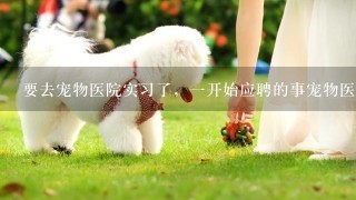 要去宠物医院实习了，1开始应聘的事宠物医师助理么，还有在北京什么待遇呢??
