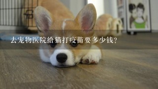 去宠物医院给猫打疫苗要多少钱?