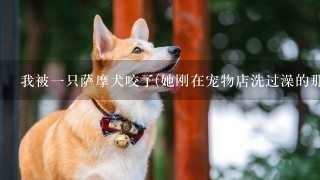 我被1只萨摩犬咬了(她刚在宠物店洗过澡的那种)，几个小时后手上还是有牙印，但是我没有流血没有破皮