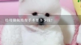 给母猫做绝育手术要多少钱？