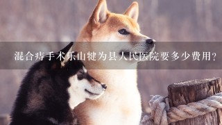 混合痔手术乐山犍为县人民医院要多少费用？