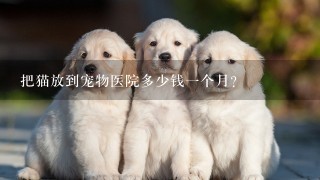 把猫放到宠物医院多少钱1个月？