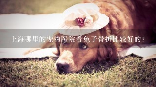 上海哪里的宠物医院看兔子骨折比较好的?