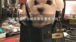 1般宠物店给小猫洗澡需要多少钱?