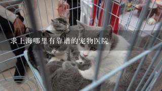 求上海哪里有靠谱的宠物医院