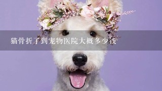 猫骨折了到宠物医院大概多少钱