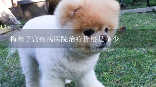 梅州子宫疾病医院治疗价格是多少