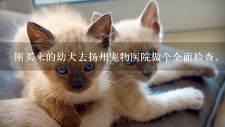 刚买来的幼犬去扬州宠物医院做个全面检查，大概要多少钱？