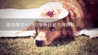 惠东哪里可以给宠物打狂犬疫苗针