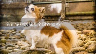 首正宠物医院是全国连锁吗