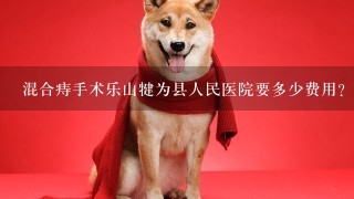 混合痔手术乐山犍为县人民医院要多少费用？