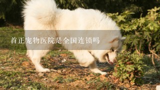 首正宠物医院是全国连锁吗