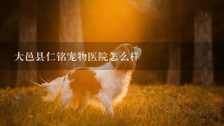 大邑县仁铭宠物医院怎么样