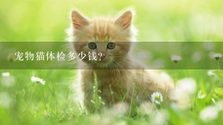 宠物猫体检多少钱？