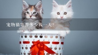 宠物猫寄养多少钱1天？