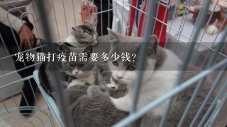 宠物猫打疫苗需要多少钱？