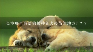 长沙哪里有给狗接种狂犬疫苗的地方？？？