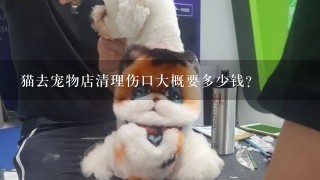 猫去宠物店清理伤口大概要多少钱？