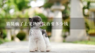 猫腿瘸了去宠物医院治要多少钱