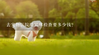 去宠物医院给猫咪检查要多少钱？