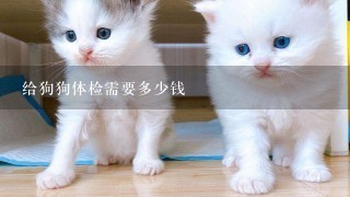 给狗狗体检需要多少钱