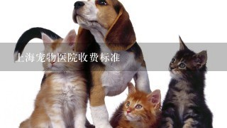 上海宠物医院收费标准