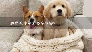 1般猫咪住院需要多少钱？