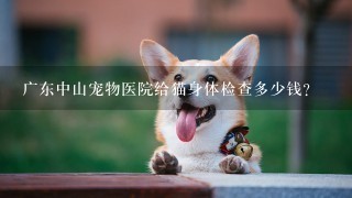 广东中山宠物医院给猫身体检查多少钱？