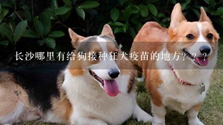 长沙哪里有给狗接种狂犬疫苗的地方？？？