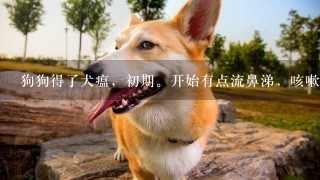 狗狗得了犬瘟，初期。开始有点流鼻涕，咳嗽，不放心已经放到医院了。他能治好吗？需要观察多久？