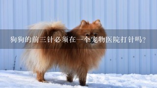 狗狗的前3针必须在1个宠物医院打针吗？