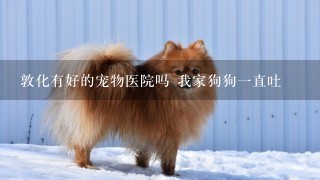 敦化有好的宠物医院吗 我家狗狗1直吐