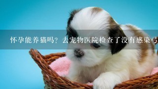 怀孕能养猫吗？去宠物医院检查了没有感染弓形虫能养吗？