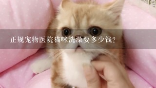 正规宠物医院猫咪洗澡要多少钱?