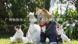 广州狗狗死后，宠物医院会埋在哪里?