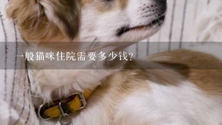 1般猫咪住院需要多少钱？