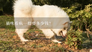 猫咪看病1般要多少钱？