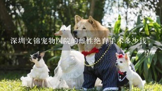 深圳文锦宠物医院的雌性绝育手术多少钱