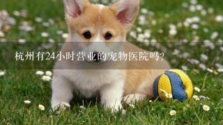 杭州有24小时营业的宠物医院吗？