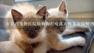 在宜昌宠物医院给狗狗打疫苗大概多少钱啊?哪家宠物医院的收费不贵而且负责啊!