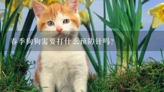 春季狗狗需要打什么预防针吗？