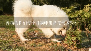 养猫的你们每个月猫咪用品花销多少？