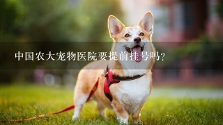中国农大宠物医院要提前挂号吗？