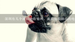 深圳有几个流浪狗收容所，流浪狗救助站的电话是多少