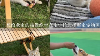 想给我家的猫做绝育在南宁该选择哪家宠物医院?