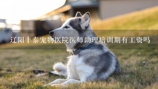 辽阳丰泰宠物医院医师助理培训期有工资吗