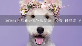 狗狗拉肚呕吐去宠物医院做了检查 很健康 不是细小 没有病毒炎症 让禁食禁水24小时可以时间短1些吗