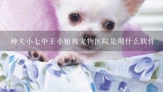 神犬小7中王小姐找宠物医院是用什么软件